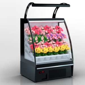 Louisiana eco F ASV 105 VF O A