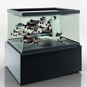 Missouri NC 120 aquarium